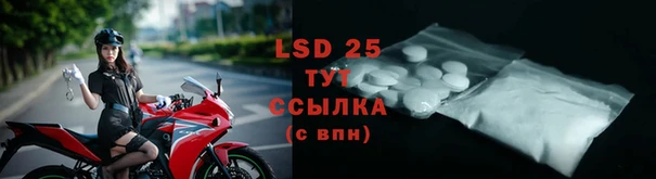 spice Белокуриха