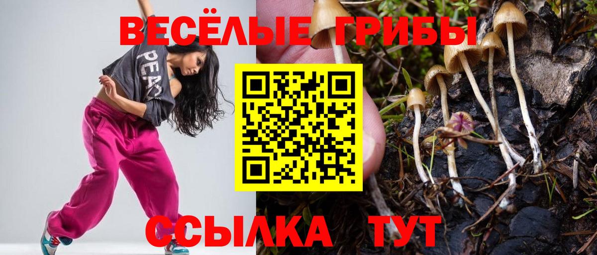 Галлюциногенные грибы Psilocybine cubensis  Галлюциногенные грибы MAGIC MUSHROOMS  Вход с VPN  Верхний Уфалей 